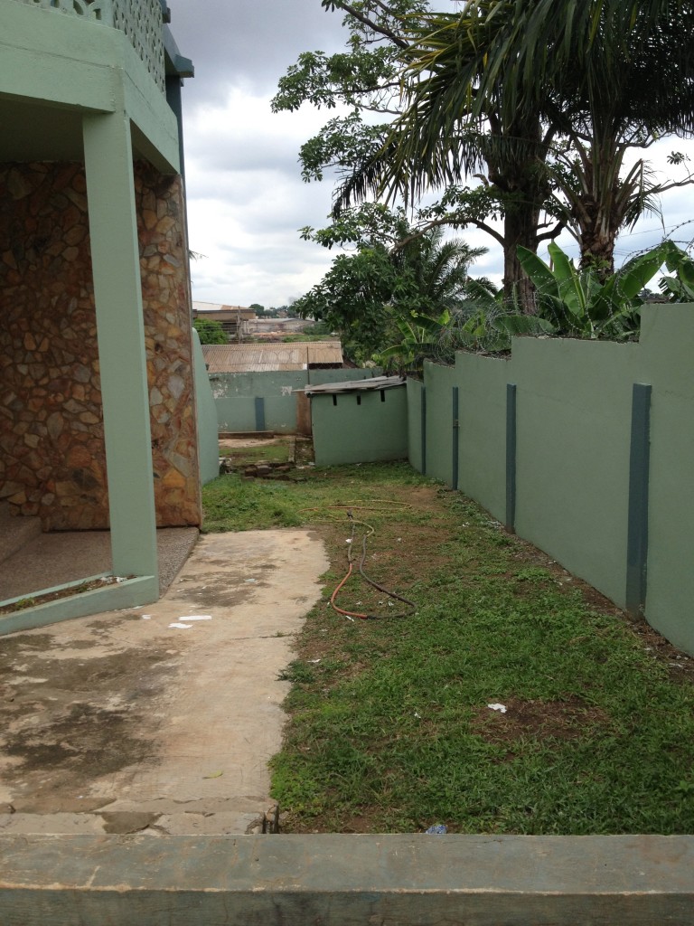 right side yard with chicken coops in back