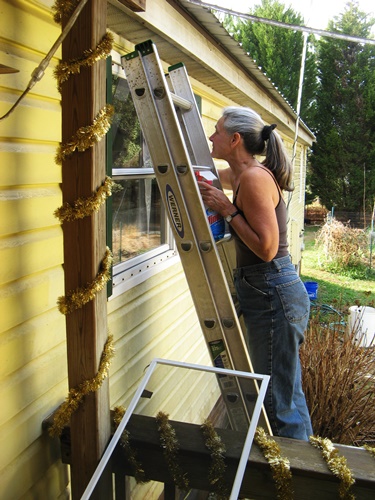 20151212CookieWindowWashing