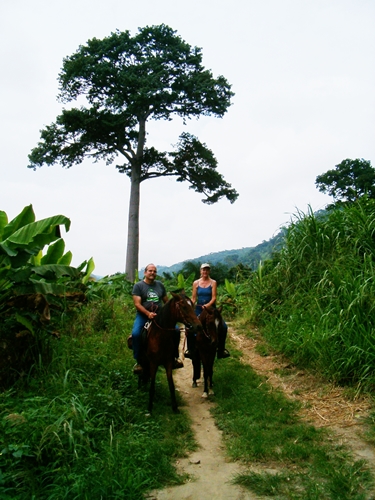 20120712BosumtwiGreenRanchRidingKapok