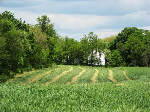 20140523FarmMudLevel