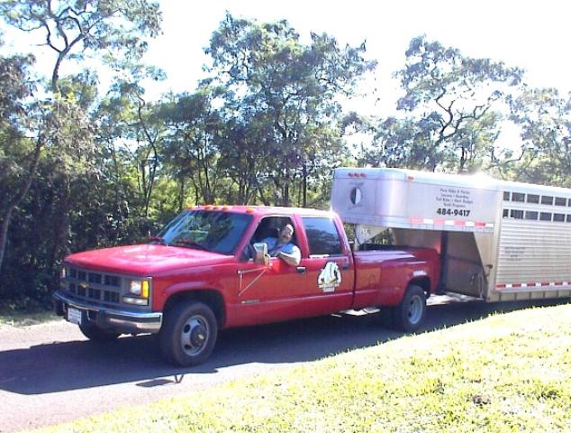 Bob driving Camp Smith Stable Horse Trailer - Oahu 1999