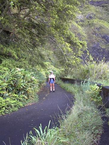 Camille on Old Pali Hwy Hike - Oahu 1999